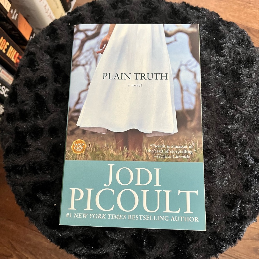 Plain Truth by Jodi Picoult Paperback